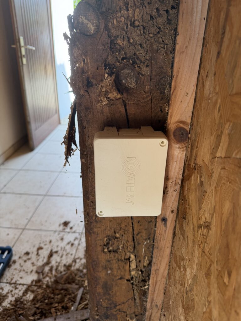 Termites dans la maison : boîtier de traitement sur un poteau attaqué