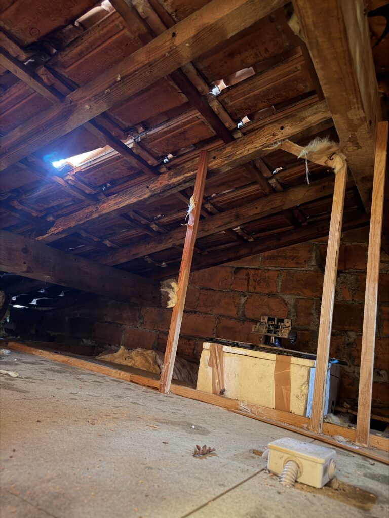 Inspection d’une charpente et des combles contre les termites et insectes du bois